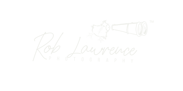 roblawrence logo